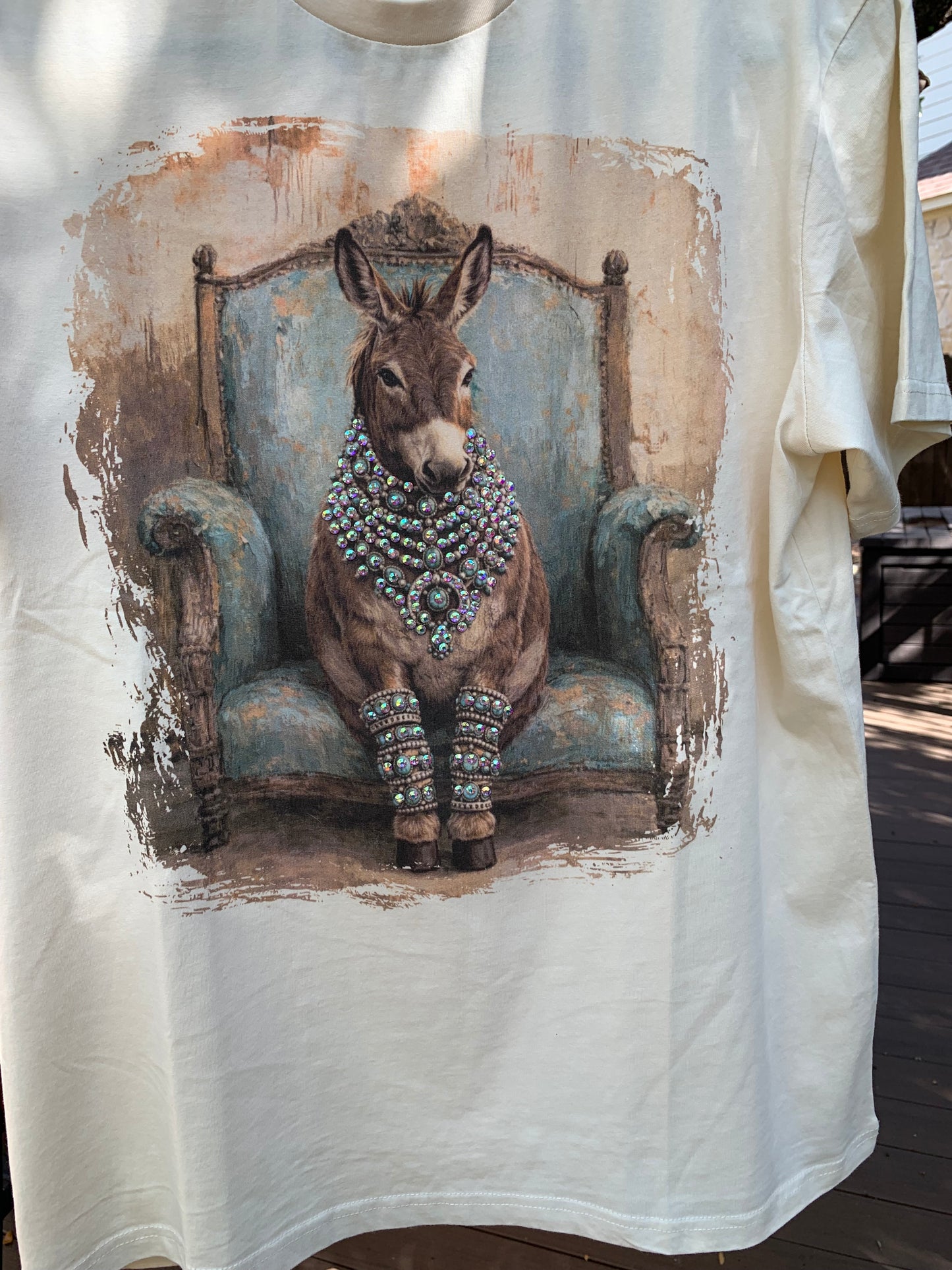 Donkey  with Crystals